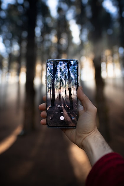 Exploring Nature with Arty’s WildLens